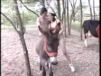 Animal crazed brunette whore pleasuring a donkey and herself